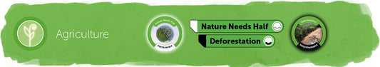 Nature Needs Half vs Deforestation