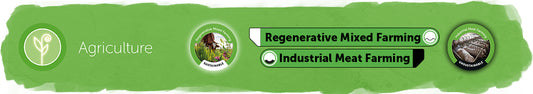 Regenerative Mixed Farming vs Industrial Meat Farming