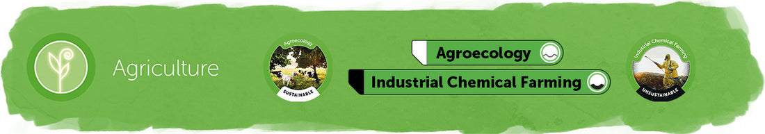 Agroecology vs Industrial Chemical Farming