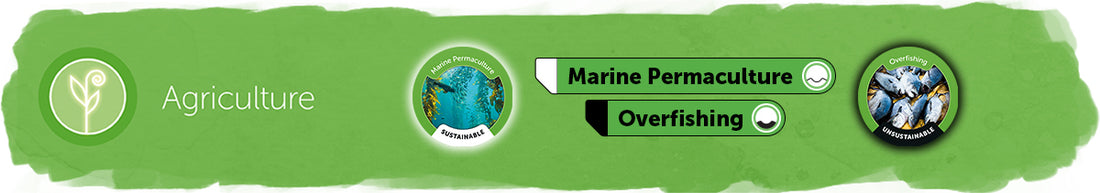 Marine Permaculture vs Overfishing