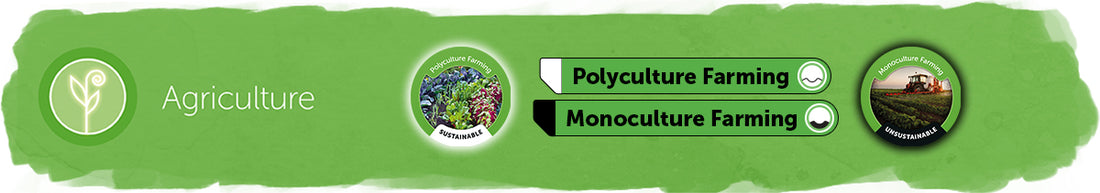 Polyculture vs Monoculture Farming